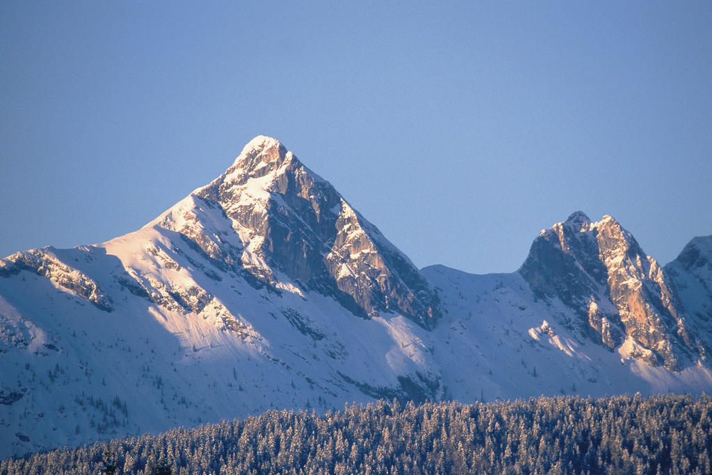Appartement Residenz Seefeld Seefeld in Tirol Værelse billede